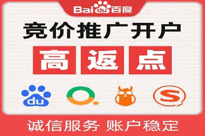 百度竞价代理实战技巧：经典案例深度解读